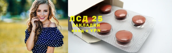 прущие грибы Армянск