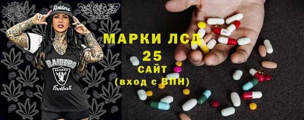 винт Аркадак