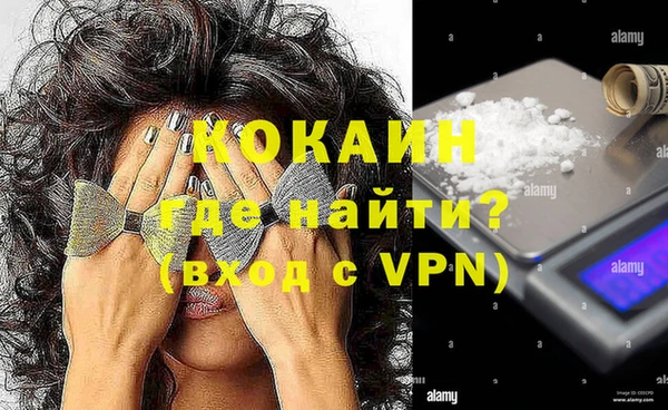 прущие грибы Армянск