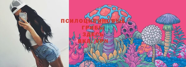 прущие грибы Армянск