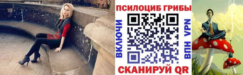 Галлюциногенные грибы мухоморы  мега tor  Новоузенск 